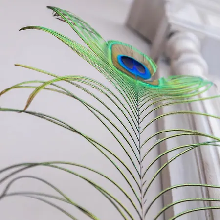 D Hotes Du Castell De Bles Bed & Breakfast