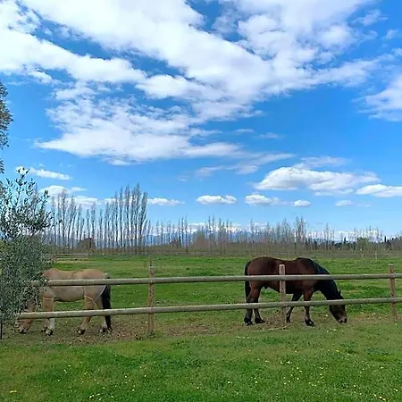 D Hotes Du Castell De Bles Отель типа 