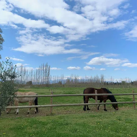 Bed & Breakfast D Hotes Du Castell De Bles